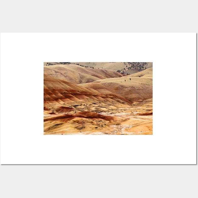 The Painted Hills Of Oregon - 1 © Wall Art by PrinceJohn